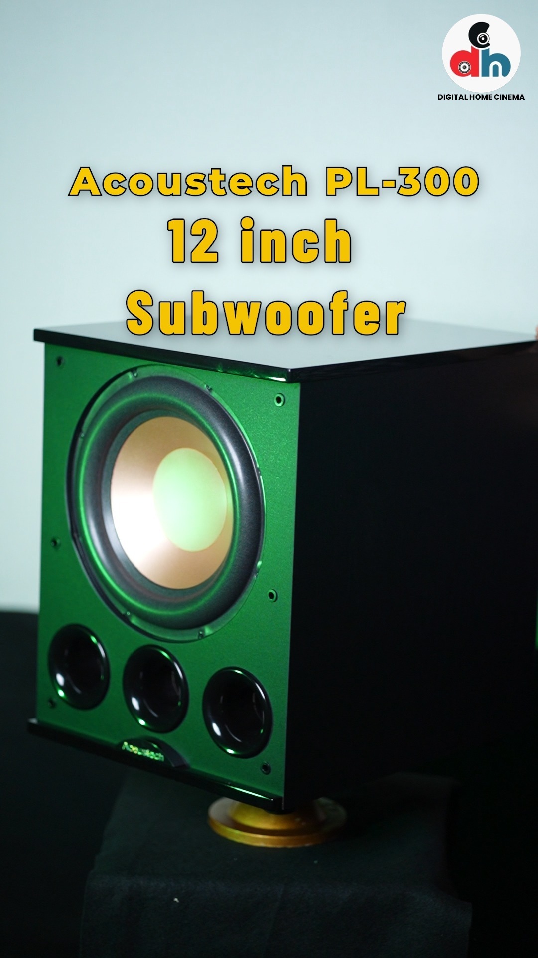 An Acoustech PL-300 twelve inch subwoofer